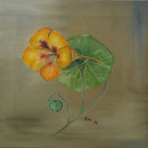 Olej na plátně - řeřicha, 20 x 20cm