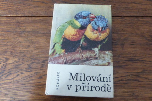 Milování v přírodě, 1969 — foto 1