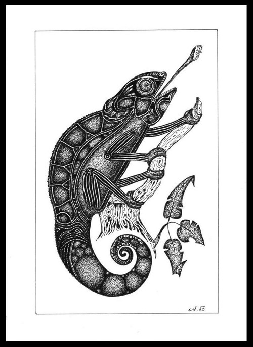 Chameleon — foto 1