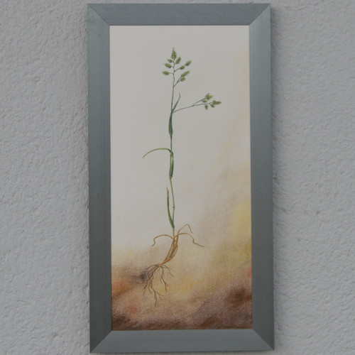 Originál suchý pastel-Srha- 42 x 20 cm