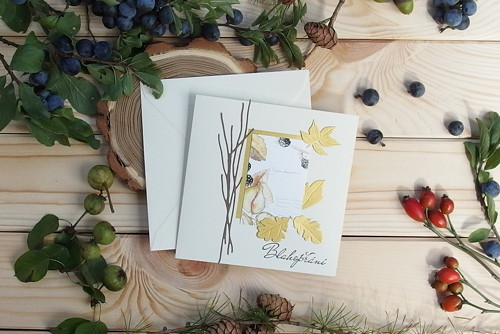 Dárkové přáníčko "Babí léto" / č. 2325