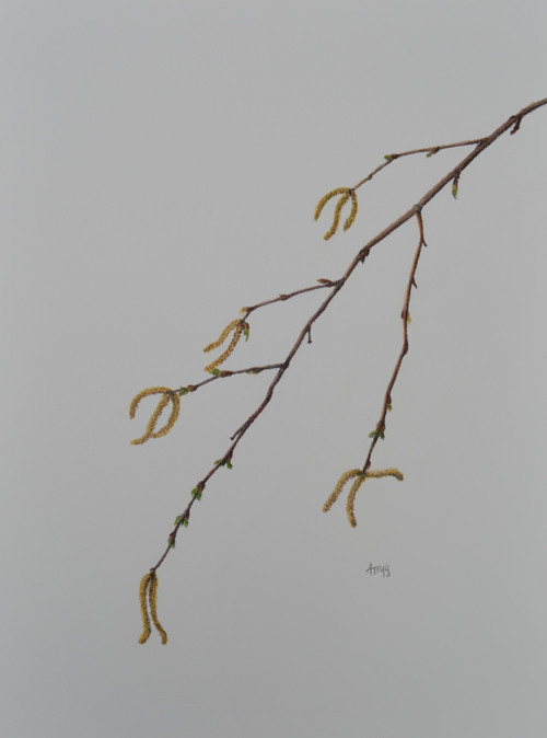 Originál suchý pastel- Něžná -40x30 cm