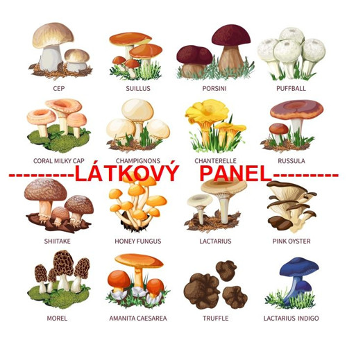Bavlněný panel 25 x 25cm