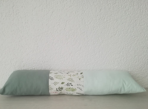 Kapradí váleček ke hnízdečku — foto 1