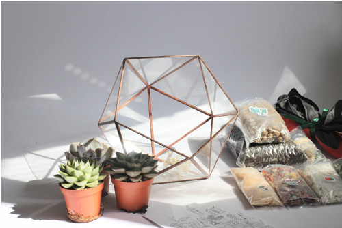 DIY set + terárium "Moon"
