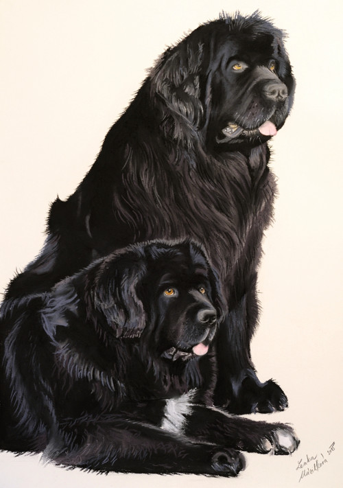 Portrét podle fotografie B2 (50 x 70 cm)