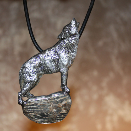 Canis lupus — foto 1