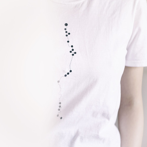 T-shirt Cesta na severozápad