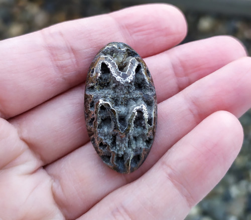 Simbircito-amonitová geoda, ID 1522, 32x18 mm
