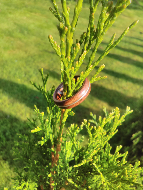 Palisandrový prsten se stříbrnou obručí
