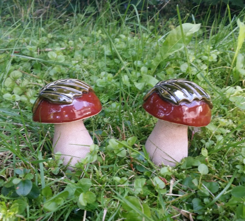 Hříbek klasik s lístečkem