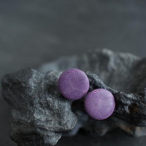 Bodovky purpurové — foto 1