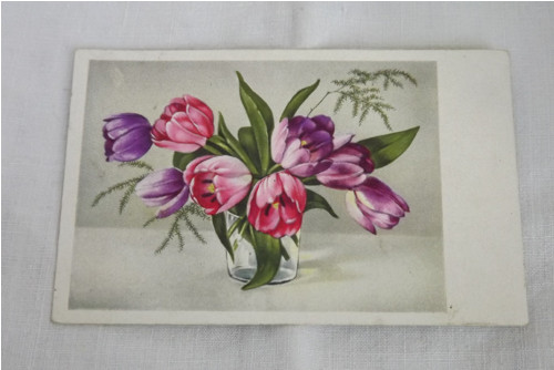 Tulipány -pohlednice
