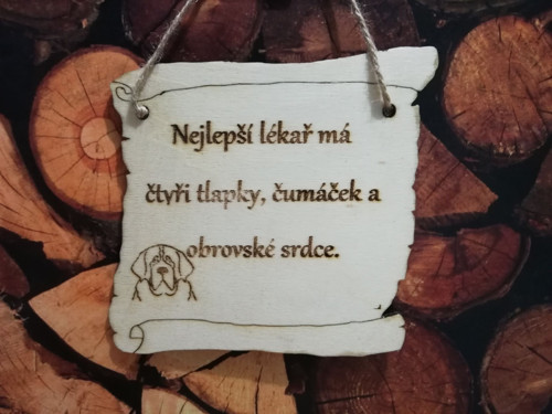 Nejlepší lékař-bernardýn