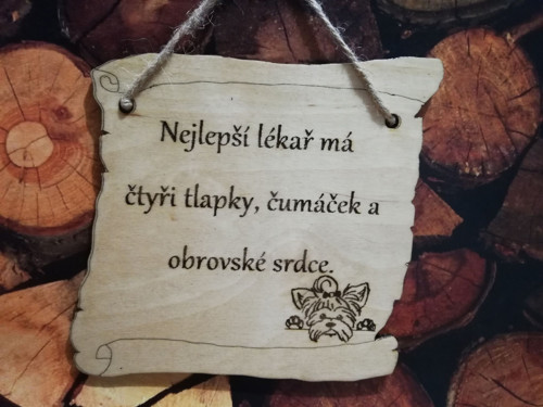 Nejlepší lékař-jorkšír — foto 1