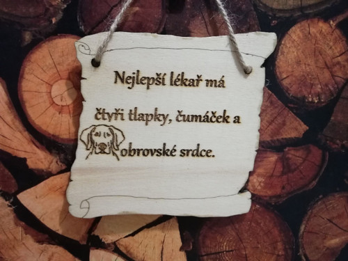 Nejlepší lékař-výmarský ohař