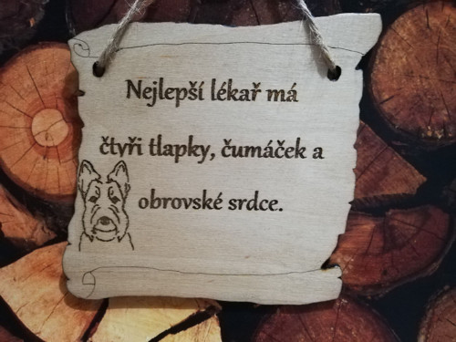 Nejlepší lékař-skotský teriér