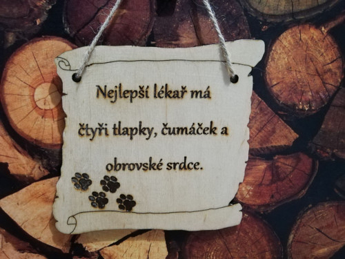 Nejlepší lékař-tlapky