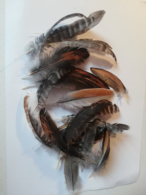 Přírodní peří 5-12cm — foto 1