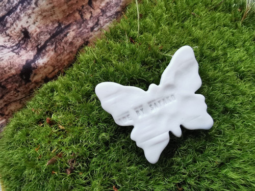 Bílý motýl — foto 1