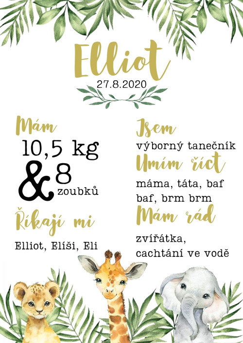 Milníková cedule k narozeninám Jungle