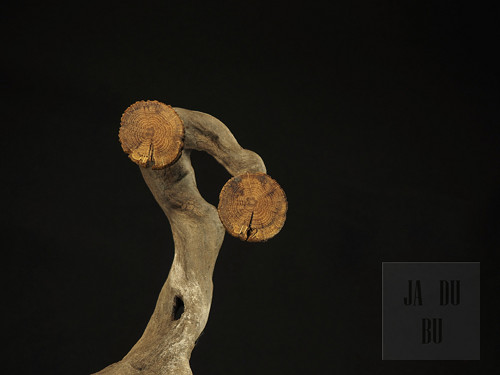 Náušnice - Dub zimní — foto 1