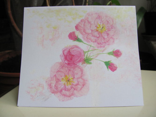 Sakura, přání