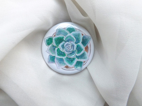 Placka se sukulentem