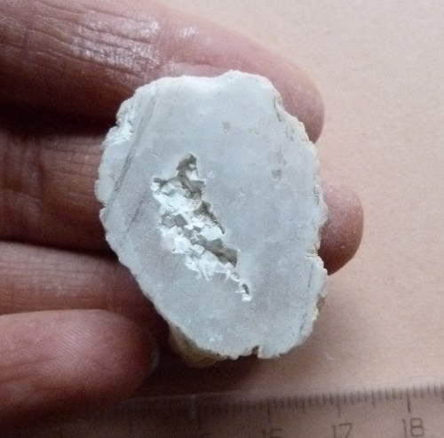 Geodka kašolong - 3,5 cm — foto 1