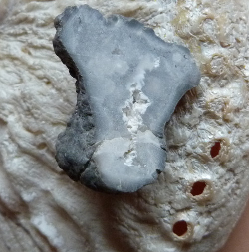 Geodka kašolong - 3,2 cm