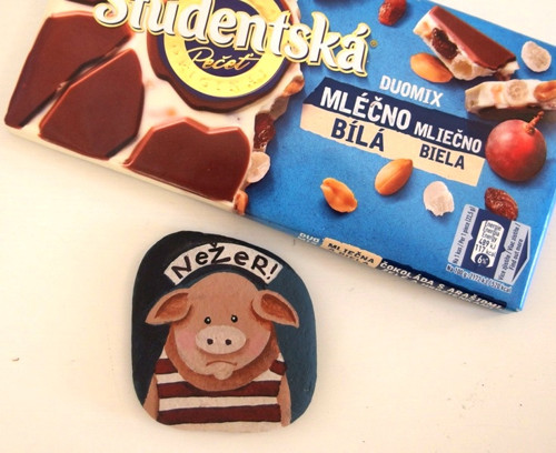 Motivační čuňák — foto 1