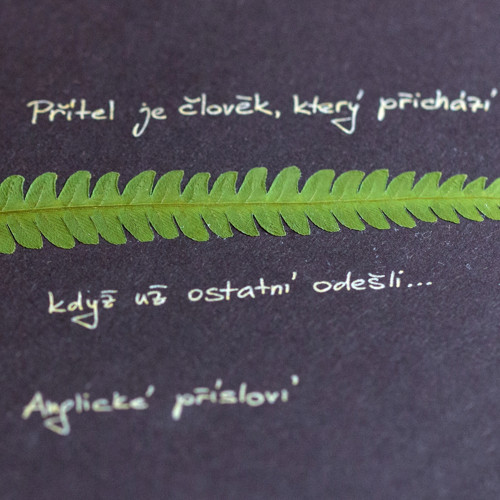 Přítel — foto 1
