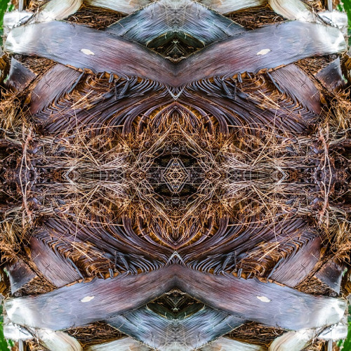 Sítnice fotoobraz — foto 1