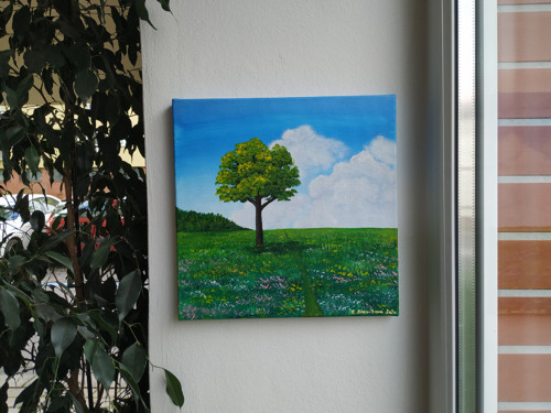 Cesta loukou — foto 1