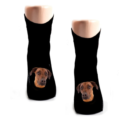 Rhodézský Ridgeback Bavlněné Ponožky — foto 1