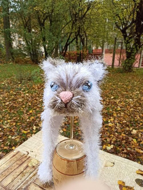 Zimní ušanka KOŤÁTKO BIRMA — foto 1