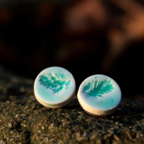 Sukulent světlemodrý - pecky 12 mm