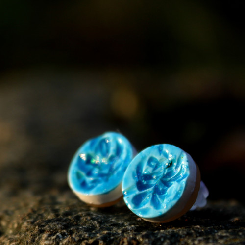 Sukulent modrý - pecky 12 mm