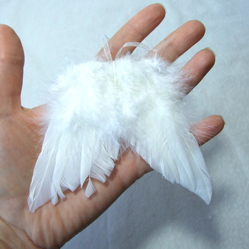 Andělská křídla 10 cm — foto 1