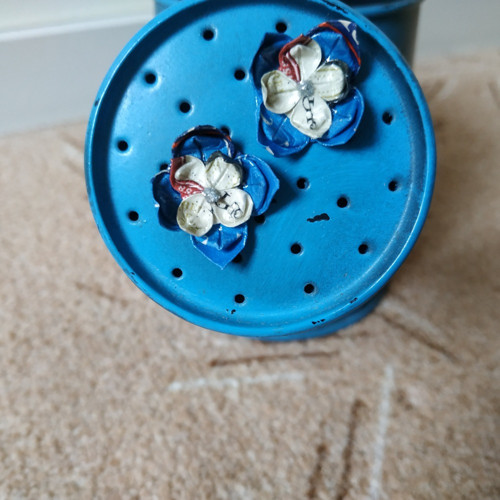 Modro-bílé květy — foto 1