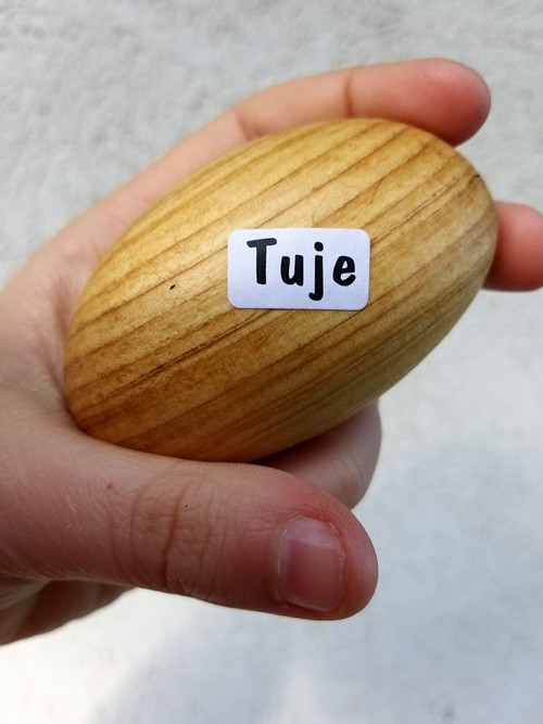 Tújový valounek do ruky