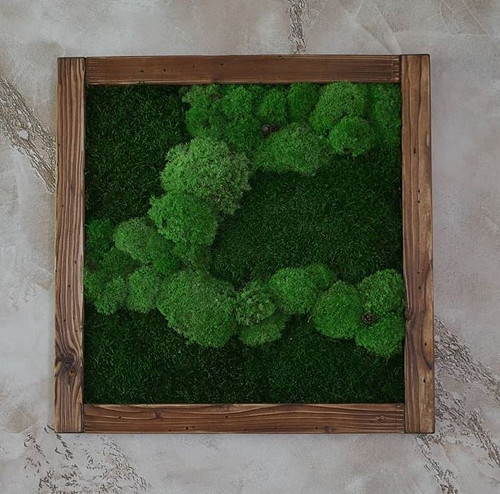 Mechový obraz "Nature"