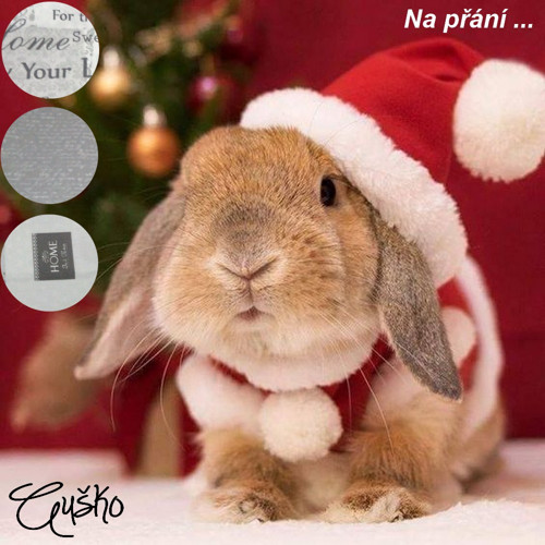 Sada polštářků na přání — foto 1