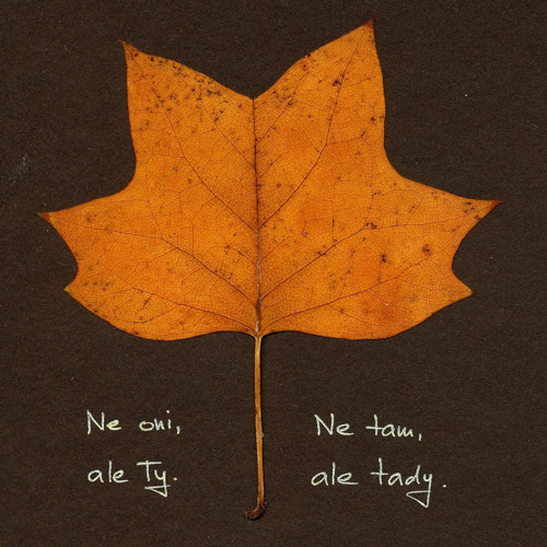 Tady a teď — foto 1