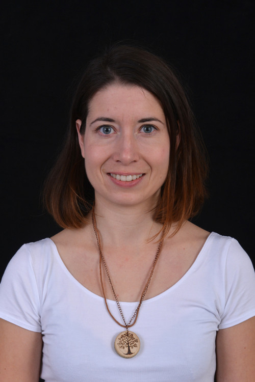 Lípa
