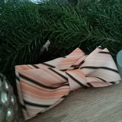 Motýlek pro každý den — foto 1