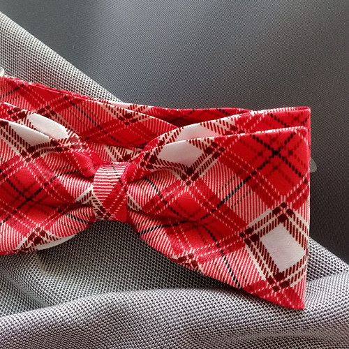 Motýlek pro každý den