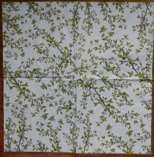 Natura 3137