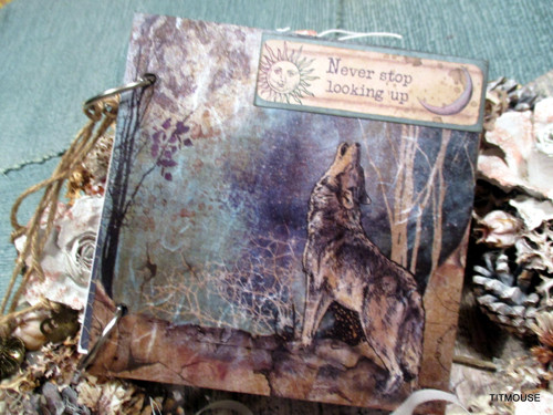 Volání divočiny - scrapbookový zápisník — foto 1