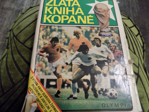 Zlatá kniha kopané